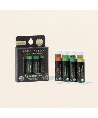 Organic Lip Balm Set for Men - 4 Flavors - 100% Natural Moisturizing for Cracked & Dry Lips 4 Count (Pack of 1) - Buy Online on GoSupps.com