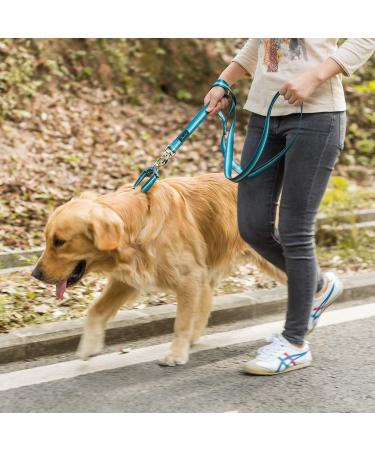 Dazzber Martingale Dog Collar for Medium & Large Dogs - No Pulling Durable Nylon Adjustable 43.2-63.3 cm Turquoise Green 1 Inch Wide - Buy Online on GoSupps.com