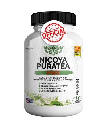 GREENVIFY Nicoya PuraTea Max Green Tea Extract & Green Coffee Bean for Metabolism Support Natural Energy Boost Antioxidant-Rich Supplement 60 Capsules