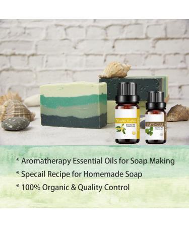 HERBROMAS Essential Oil Set - Top 16 Aromatherapy Oils for Candle & Soap Making, Diffusers, Humidifiers - Buy Online on GoSupps.com