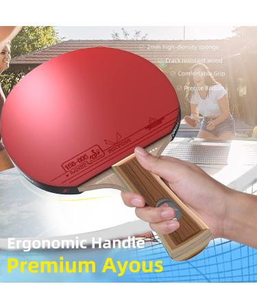 Ermete 4 Player Ping Pong Paddles Set with ITTF Approval Rubber - Includes 8 Balls, Storage Case - Portable Indoor & Outdoor Table Tennis Kit - Buy Online on GoSupps.com