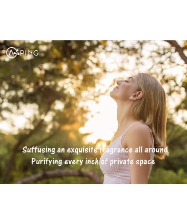 2-Pack Pine Needles Essential Oil - 100% Pure Organic Natural Plant (Pinus acus) Pine Needles Oil for Diffuser Aroma Spa Massage Yoga Perfume Body - 2x10ML - Buy Online on GoSupps.com