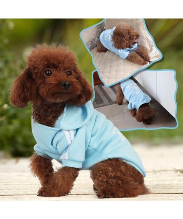 Fashion Dog Hoodie | Cotton Streetwear Sweatshirt for Small & Medium Dogs | Gray/Light Blue XS - Buy Online on GoSupps.com
