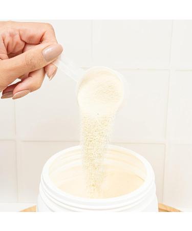 Buy ISO-Zero Caro FIT Protein Vanilla 550g - Premium Quality International Shipping - Buy Online on GoSupps.com
