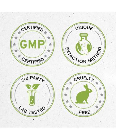 Angelica Tincture Alcohol-Free Liquid Extract - 2 FL OZ (Pack of 1) - Buy Online on GoSupps.com