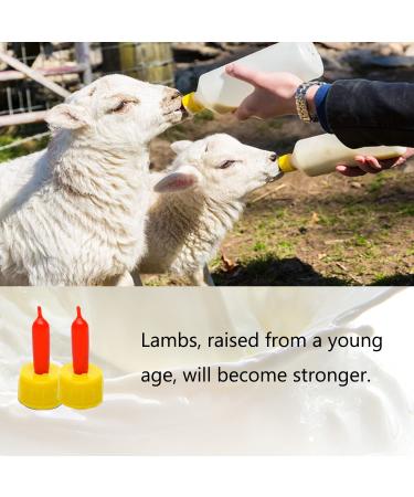 Xary 35 PCS Soft Silicone Goat Nipples for Feeding - Farm Supplies for Sheep, Goat, Lamb, and Puppy Nursing - Buy Online on GoSupps.com