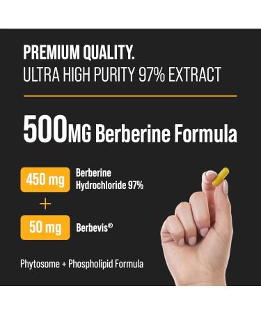 NutraChamps Complete Bone & Metabolic Support : Magnesium Zinc D3 & Berberine Duo - Buy Online on GoSupps.com