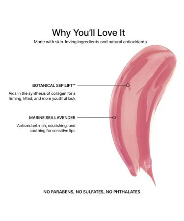 Jillian Dempsey Lip Gloss - Vegan Delux Mauve | Enhance Hydrate & Plump Lips | 4ml - Buy Online on GoSupps.com