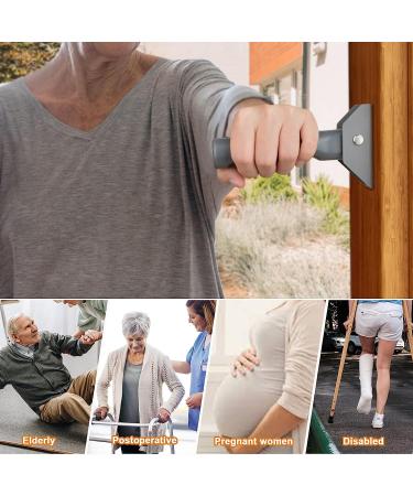 Healvaluefit Flip up Grab Bar for Elderly - Folding Doorway Assist Handle - Mobility Aid for Seniors - Grey - Buy Online on GoSupps.com