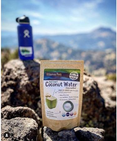 Wilderness Poets Instant Coconut Water Powder 4 oz - Freeze Dried Hydration - Buy Online on GoSupps.com