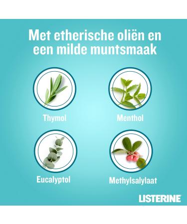  Listerine Listerine Cool Mint Mild Taste alcohol-free mouthwash with essential oils helps eliminate bacteria and ensures long-lasting fresh breath 6 x 500 ml - Buy Online on GoSupps.com
