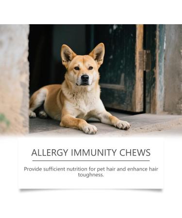 Comprim s Croquer De Vitamines pour Animaux De Compagnie pour Chiens Et Chats Nutrition Quotidienne Soutien d'un Pelage Sain Soins des Articulations Multivitamines M cher - Buy Online on GoSupps.com