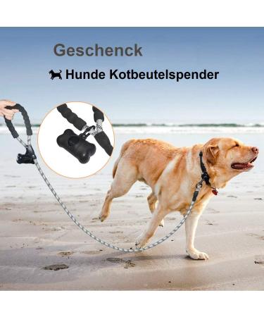 5 ft Strong Dog Leash with Padded Handle & Reflex Seams - Safe for All Dog Sizes - Silver 150x1.2 cm | International Shipping Available - Buy Online on GoSupps.com