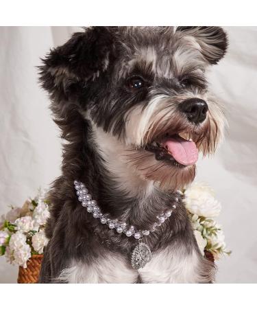Rayminsino Pet Collar - Adjustable Gemstone & Pearl Necklace for Cats & Dogs | Decorative Jewelry Accessories - Buy Online on GoSupps.com