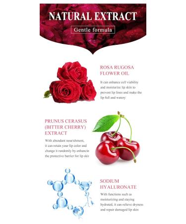 Chameleon Lip Balm Rose Hyaluronic Acid Moisturizing Nourishing Lip Plumper Lip Lines Natural Extract Makeup Lipstick (Hyaluronic Acid) - Buy Online on GoSupps.com