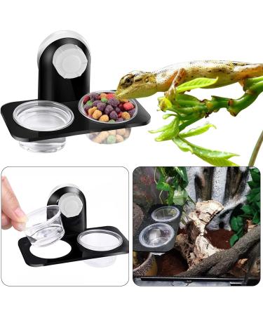 Jetisva 2pcs Reptile Water and Food Bowl Crested Gecko Feeding Ledge Plastic Suction Cup Reptile Water Dish Reptile Feeder for Lizard Chameleon Turtle Tortoise Snake Scorpion Centipede Fits Tank - Buy Online on GoSupps.com
