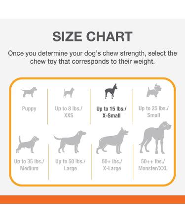 Buy Structured Nylabone Dura Chew Beef Jerky Power Chew for Heavy Chewing Dogs - XS (Up to 7 kg) | Multi-Colored Chewing Bones - Buy Online on GoSupps.com
