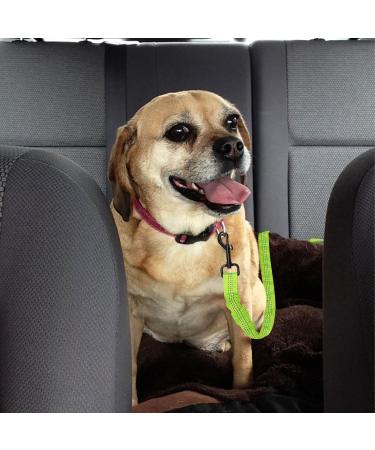 Adjustable Dog Seat Belt for Car - Green Dog Safety Harness | International Shipping - Buy Online on GoSupps.com