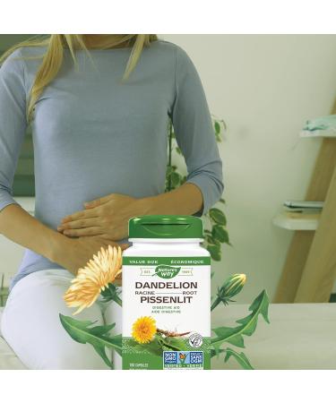 Nature's Way Dandelion Root - Digestion Supplement & Ginger Root Traditional Digestive Support Supplement - Buy Online on GoSupps.com