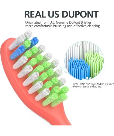Replacement Toothbrush Heads Compatible with Philips One for Sonicare HY1100 HY1200 Electric Brush Handles 8Pack (Miami Coral) Red 1 count (Pack of 8) - Buy Online on GoSupps.com