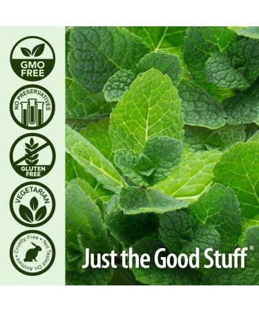 Nature's Answer PerioBrite Coolmint Oral Cleansing Concentrate 4 oz - Fresh Breath & Gum Health - Buy Online on GoSupps.com