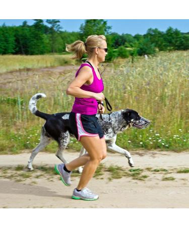 Buy Petcute Durable Metal Dog Muzzle - Safe Basket Muzzle for Barking Biting & Eating - International Shipping Available - Buy Online on GoSupps.com