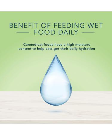 Blue Buffalo True Solutions Natural Adult Wet Cat Food Skin and Coat Care 156g cans (Pack of 24) Skin & Coat Care Wet Cat Food - Lg Size - Buy Online on GoSupps.com