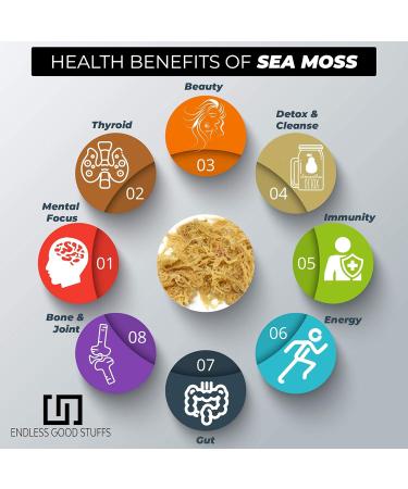 Dailyfire Natural Jamaican Sea Foam - GMO-free - Preservative-free - Organic (0.5 kg) - Buy Online on GoSupps.com