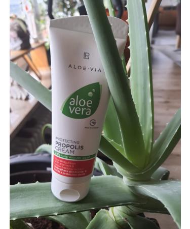 LR Aloe Vera Protective Propolis Cream (100ml) 100 ml (1 pack)