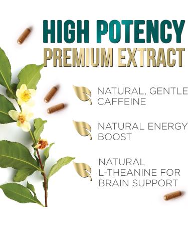 Nature's Green Tea Extract Pills 1000mg - 98% EGCG for Natural Energy & Heart Health - Vegan Non-GMO Herbal Supplement - 60 Capsules - Buy Online on GoSupps.com