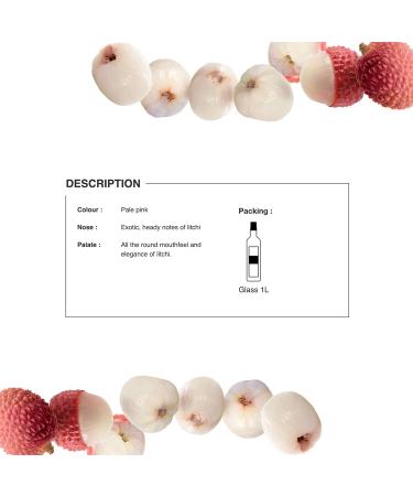 1883 Maison Routin Premium Lychee Syrup for Cocktails & Mocktails Glass 1L - Buy Online on GoSupps.com