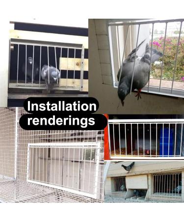 Pigeon Loft Door Pigeon Entrance Door Trap Door Pigeon House Door Racing Supplies Pet Bird Supply Product Bird cage Door - 60cm/24in - Buy Online on GoSupps.com