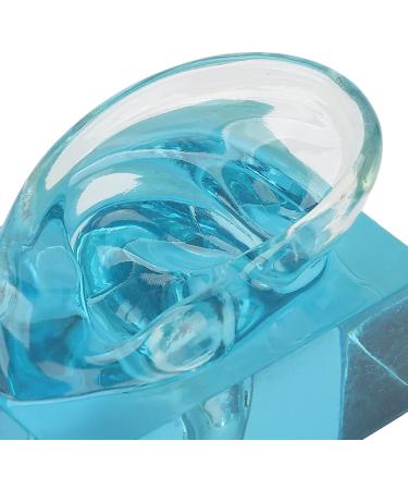 Professional Piercings Practice Ear Model - Waterproof Acrylic Blue Transparent Display for Sound Aids & Teaching Tools | International Shipping Available - Buy Online on GoSupps.com