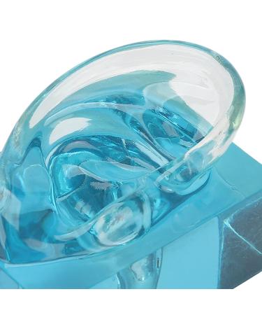 Acrylic Blue Transparent Waterproof Fake Right Ear Model for Sound Aid & Earwax Removal - Buy Online on GoSupps.com