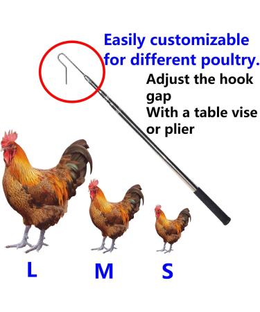 GLOBOTECH Extendable Chicken Catcher Leg Hook - Stainless Poultry Hook Fowl Catcher 25" Extend to 59" Perfect Tool for Safe and Easy Handling of Fowl Duck Catcher Instead of Bird Catching Net - Buy Online on GoSupps.com