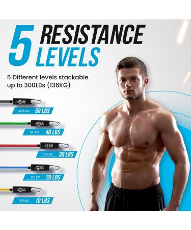 Resistance Bands Weight Building Kit - 12 Elastic Bands 150 lbs for Yoga, Calisthenics, Crossfit - Home Gym Muscle Bands with Anklets and Door Grip 300 lbs - Buy Online on GoSupps.com