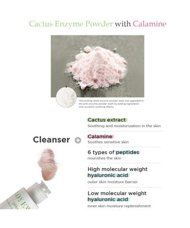 Lovew Real Skin pHa:Rule Korean Enzyme Powder Face Wash | Vegan Cactus Relief Formula with Hyaluronic Acid & 7 Natural Ingredients | 2.6 Oz - International Shipping - Buy Online on GoSupps.com