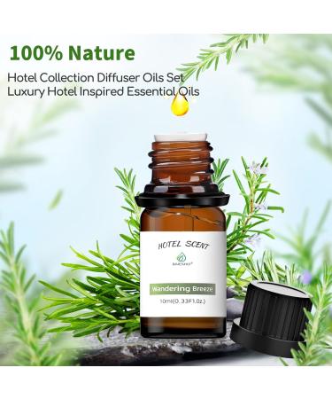 Luxury Hotel Inspired Essential Oil Set - Wandering Breeze Elegant Charisma Serenity Meadows & Royal Tranquility - 10ML Diffuser Oils for Home & Travel - Buy Online on GoSupps.com