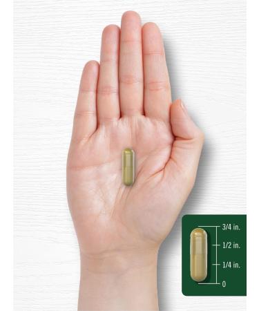 Siberian Eleuthero 2400mg  | 300 Capsules Non-GMO Gluten Free | Siberian Ginseng Herbal Supplement by Carlyle - Buy Online on GoSupps.com