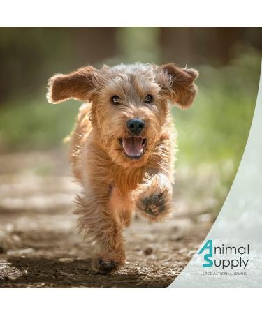 Animal Supply Worm Herb Capsules for Dogs - 50 Natural Tablets - Herbal Worm Treatment & Worming Agent - Buy Online on GoSupps.com
