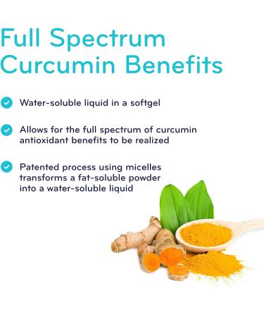 Sisu Full Spectrum Curcumin 60 Liquid Softgels - Water Soluble Antioxidant with NovaSOL - Bioavailable Antioxidant Support - Non-GMO - Corn Gluten & Dairy Free - 60 Servings - Buy Online on GoSupps.com