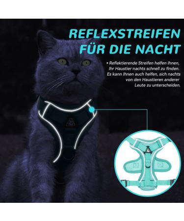 Adjustable Cat Dishes Set Mint Green | Perfect for Cats & Kittens | International Shipping Available - Buy Online on GoSupps.com