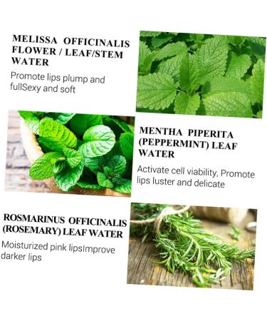 WOONEKY 2pcs Lip Serum Lip Oil Lip Gloss Lipgloss Lip Balm Lip Tint Lip Plumping Balm Lip Care Oil Water - Buy Online on GoSupps.com