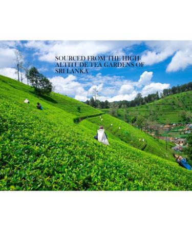 Ceylon Green Tea Gun Powder GP1 - High Grown Loose Leaf with Mellow & Smoky Taste | 100g Loose Tea - Buy Online on GoSupps.com