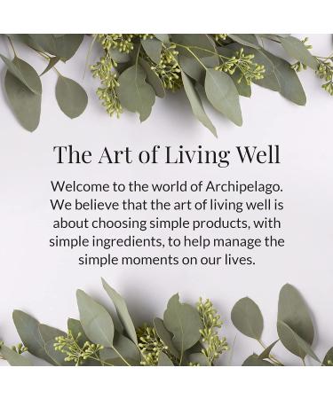 Archipelago Botanicals Morning Mint Lotion - Stimulating Daily Body Lotion (18 oz) | Paraben, Phthalate, and GMO Free - Buy Online on GoSupps.com