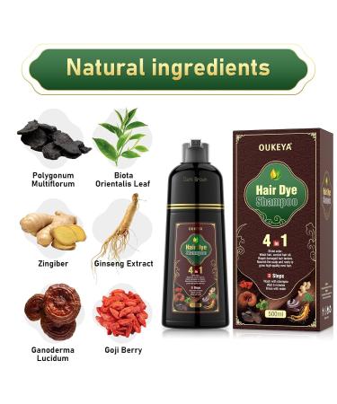 Dark Brown Hair Dye Shampoo 4 In 1 | Gray Hair Coverage for Men & Women | Instant Herbal Color Treatment - Buy Online on GoSupps.com
