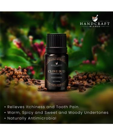 Handcraft Blends Clove Bud Essential Oil - 100% Pure Natural & Premium - Essential Oil for Diffuser & Aromatherapy - 0.33 Fl Oz - Buy Online on GoSupps.com