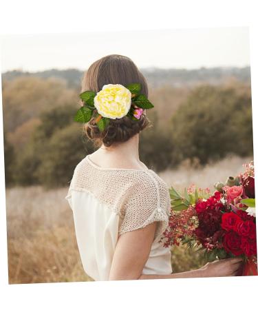 Housoutil Flower Hair Fork Clip Hair Accessories for Women Rainbow Pencil Holder Floral Bridal Hair Clip Fashion Headpiece Hair Side Clips for Women Comb Plastic Wedding Vacation - Buy Online on GoSupps.com