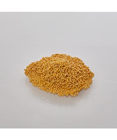 Old India Yellow Mustard Seeds 1kg - Premium Quality, Fresh & Aromatic - Pack of 1 - Buy Online on GoSupps.com
