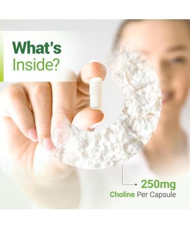 Nested Naturals Choline Bitartrate 500mg | High Potency Choline Supplements | Supports Cognitive Performance & Liver Function | 100% Vegan & Non-GMO Choline | 90 Vegan Capsules - Buy Online on GoSupps.com